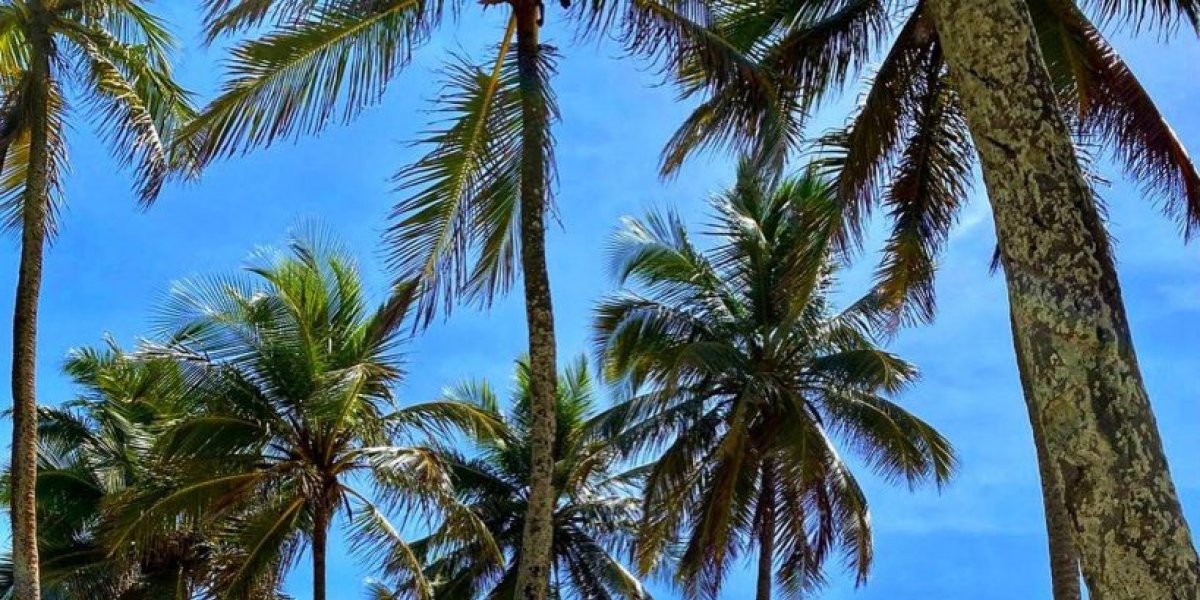Corpo é encontrado boiando em praia de Salvador