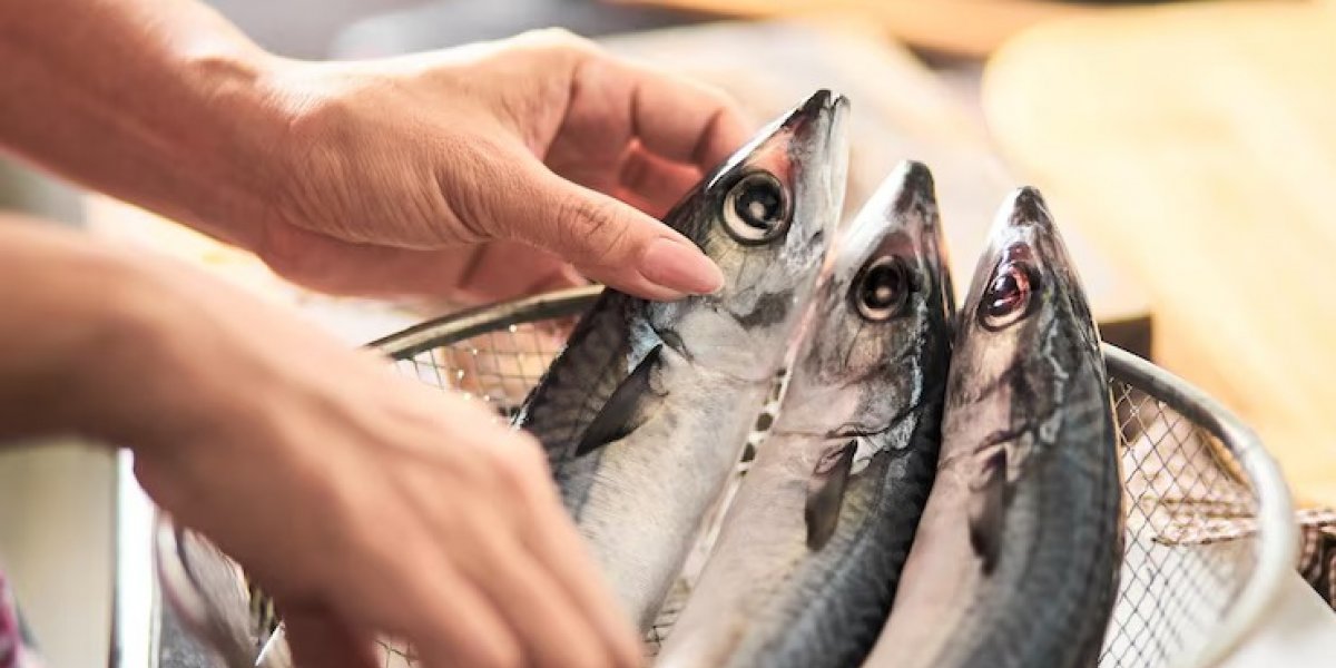 Prefeitura de Catu entrega kits pascais com rabos e cabeças de peixe