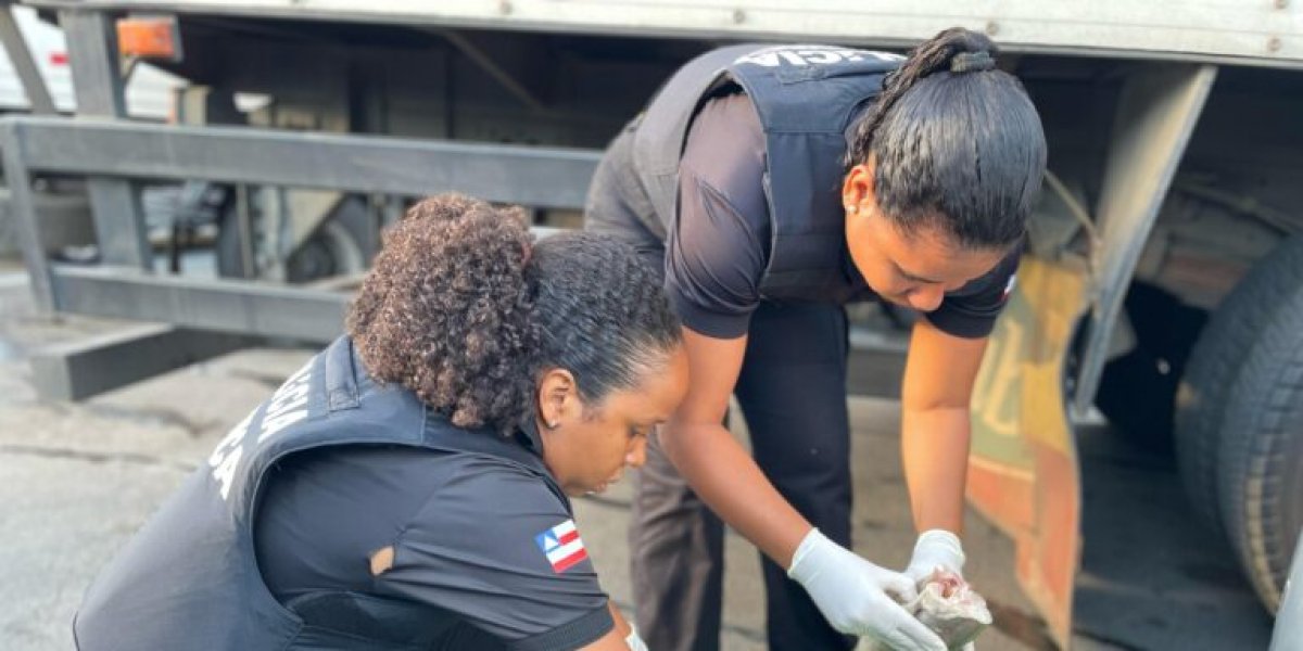Polícia Civil apreende pescados impróprios durante operação em feiras de Salvador