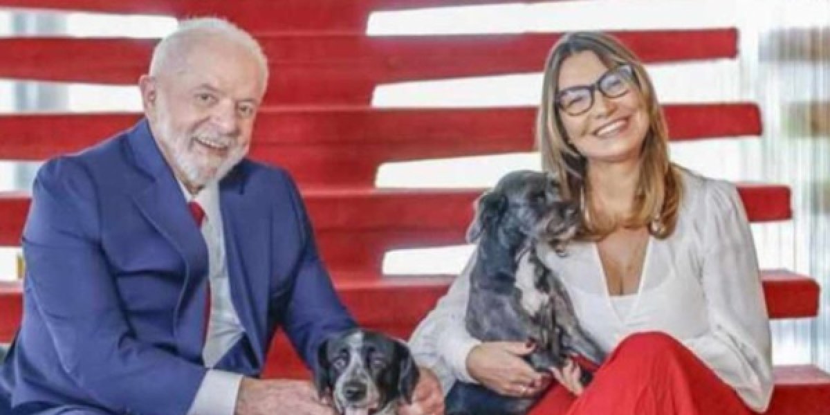 Lula lança SinPatinhas, cadastro que dará RG para cães e gatos