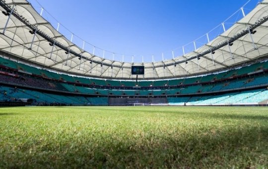 Bahia x Atlético Nacional: veja onde assistir ao vivo, escalações e arbitragem