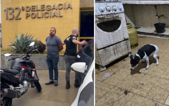 Médico é preso após descoberta de animais congelados em sua residência
