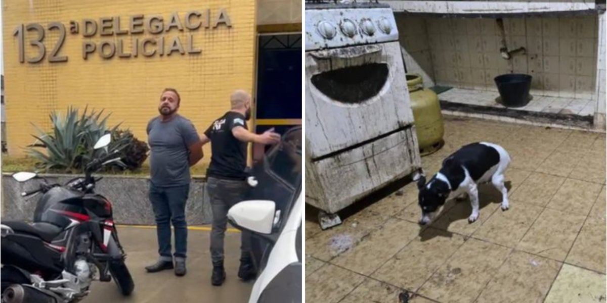 Médico é preso após descoberta de animais congelados em sua residência