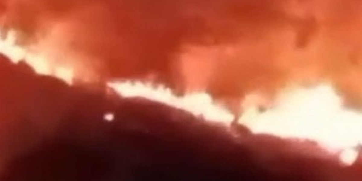 Incêndio atinge área de vegetação em no bairro do Tancredo Neves