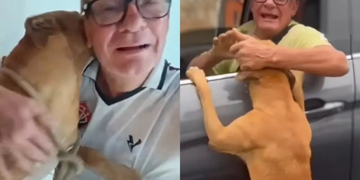 Empresário nega abandono de cachorro e diz que caso foi um mal-entendido