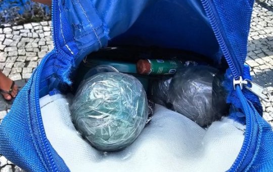 Polícia apreende membros de torcida organizada com bombas caseiras