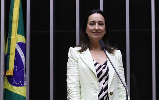 Deputada propõe que bebês reborn recebam ajuda psicológica pelo SUS