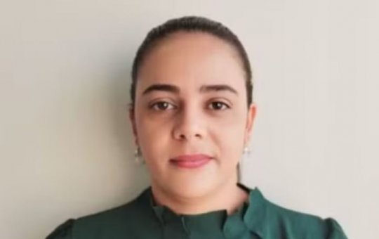 Mulher morre após ataque de abelhas na zona rural de Ipirá