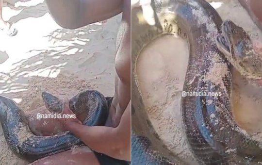 Sucuri de três metros é resgatada em praia de Santo André, no sul da Bahia