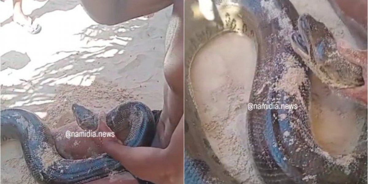 Sucuri resagata em praia no Sul da Bahia