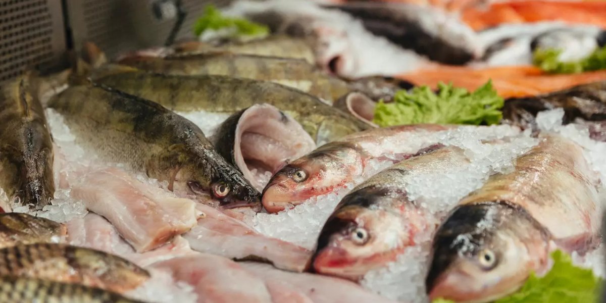 Peixes sendo vendidos em uma feira