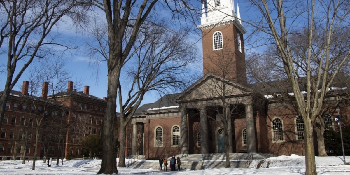 Harvard processa governo dos EUA por proibição a alunos estrangeiros