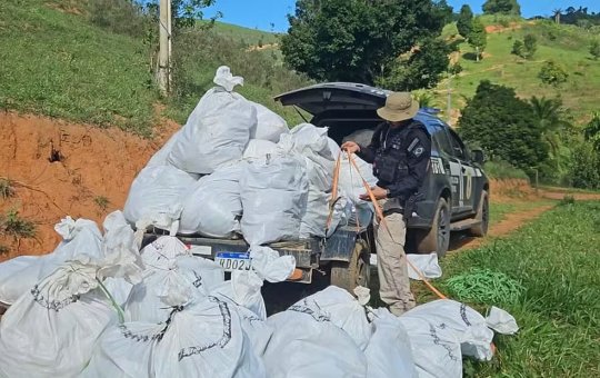 Mais de 500 kg de maconha são apreendidos em operação da Polícia Civil na Bahia