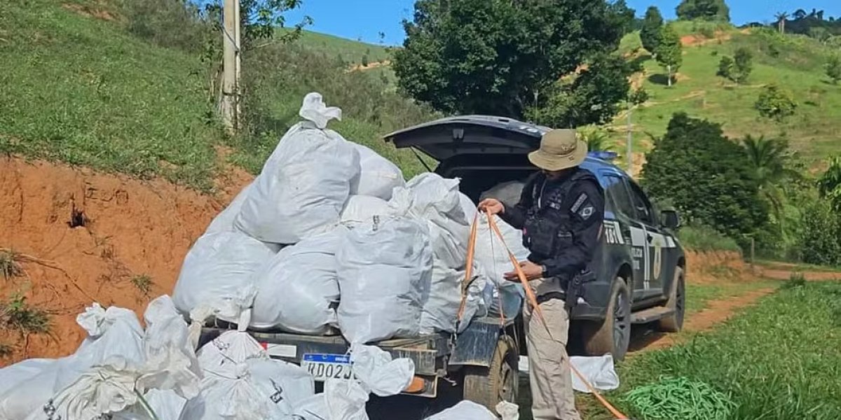 Carga apreendida durante a operação