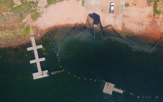 Rede de contenção instalada contra piranhas
