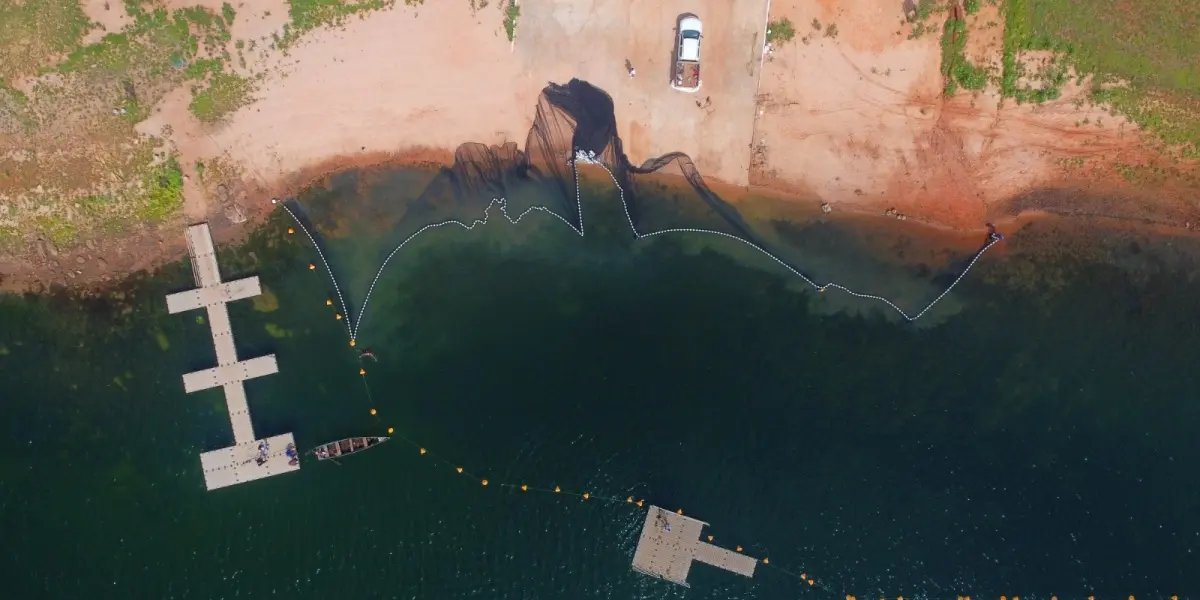 Rede de contenção instalada contra piranhas