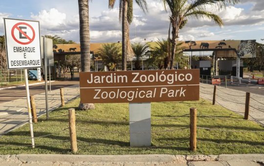 Zoológico precisa ser evacuado após suspeita de gripe aviária