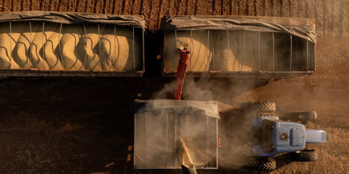 Brasil registra crescimento de 1,4% do PIB no primeiro trimestre de 2025