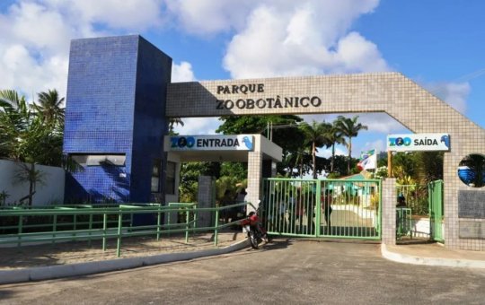 Zoológico de Salvador será reaberto na próxima terça (3) após três meses de reforma