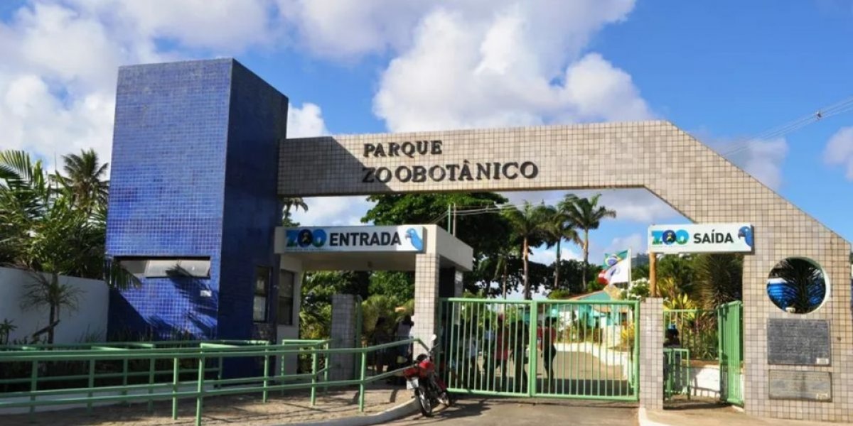 Zoológico de Salvador será reaberto na próxima terça (3) após três meses de reforma