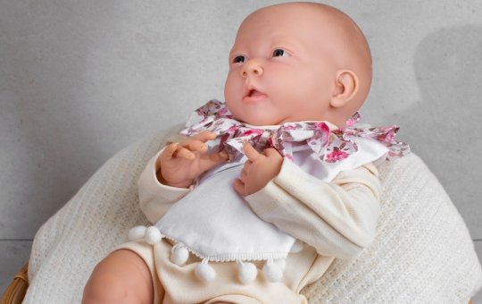 "Dia da Cegonha Reborn" é aprovado em Câmara, mas prefeito veta a proposta