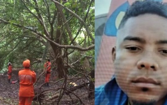 Desaparecido desde março, maranhense é encontrado em cima de árvore e resiste à tentativa de resgate