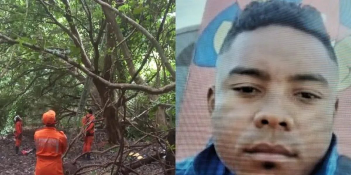 Desaparecido desde março, maranhense é encontrado em cima de árvore e resiste à tentativa de resgate