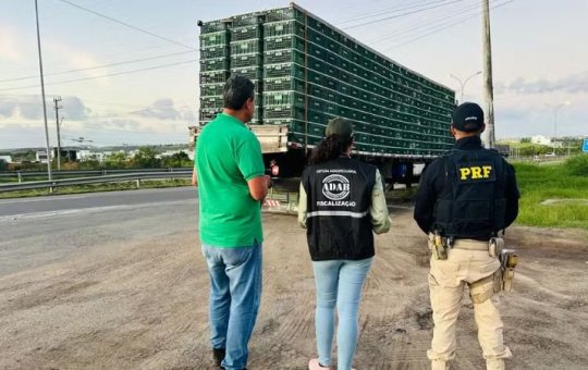 Caminhão com 2 mil frangos vivos é apreendido pela PRF em Feira de Santana