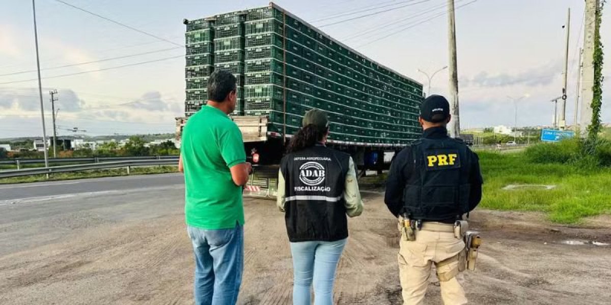 Caminhão apreendido pela PRF