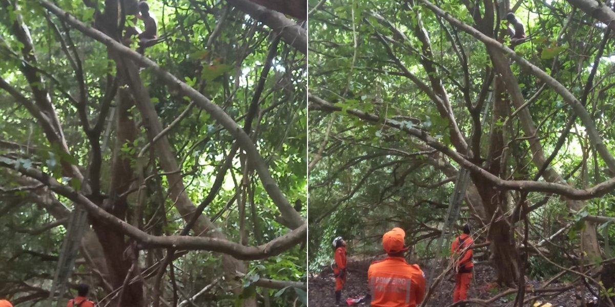 Corpo de Bombeiros no local