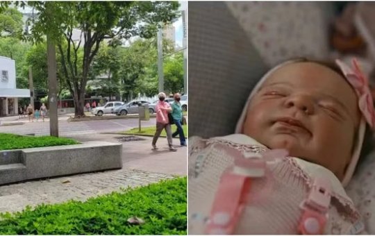 Homem é preso após agredir uma criança achando que era um bebê reborn