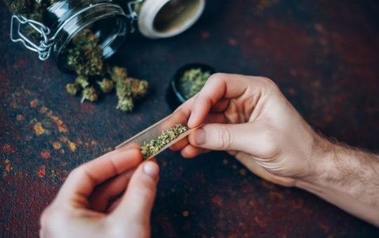 Prisões por posse de maconha serão revistas por mutirão do Conselho Nacional de Justiça