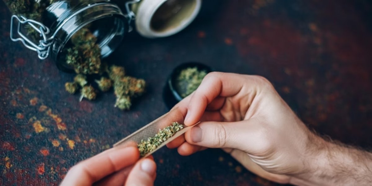 Prisões por posse de maconha serão revistas por mutirão do Conselho Nacional de Justiça