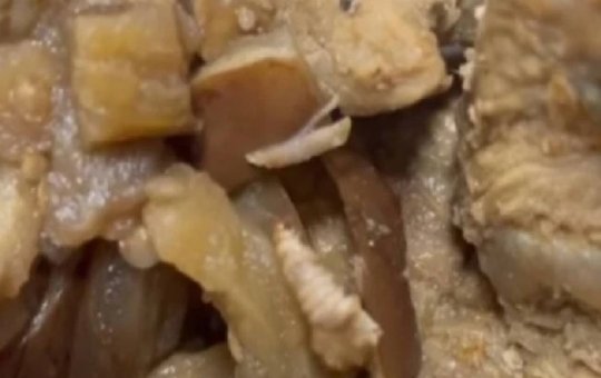 Família denuncia presença de larva em refeição de paciente com câncer em hospital do Rio