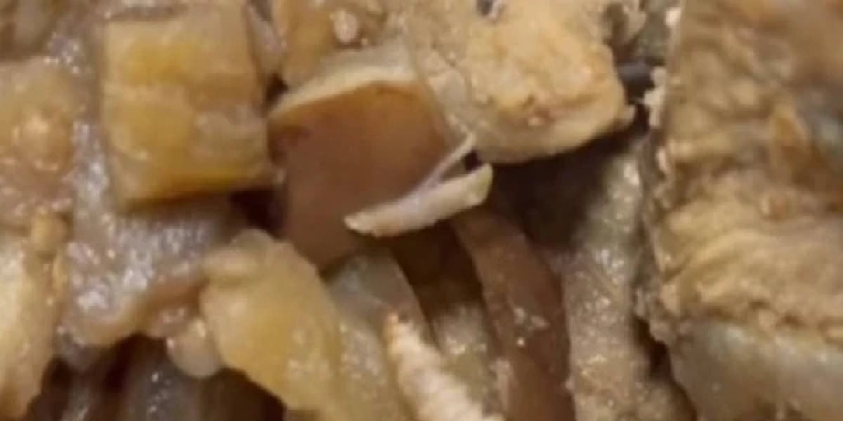 Família denuncia presença de larva em refeição de paciente com câncer em hospital do Rio