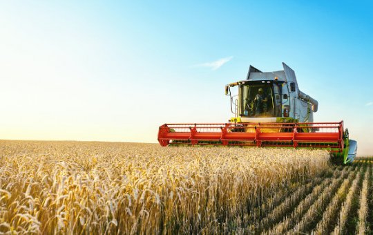 Setor agropecuário na Bahia terá investimento de R$ 42 milhões 