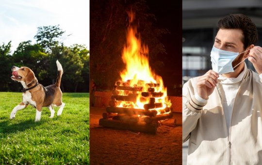 Período junino exige cuidados para quem tem problemas respiratórios e pets