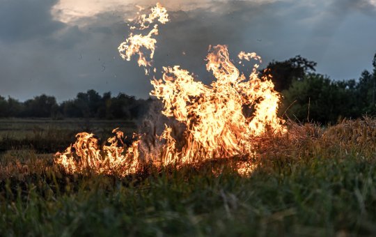 Brasil em Chamas: Queimadas batem recordes e escancaram efeitos das mudanças climáticas