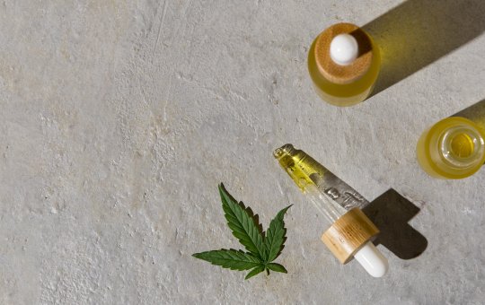 Bahia decreta lei que garante fornecimento gratuito de medicamentos à base de cannabis