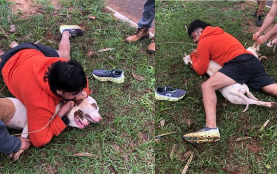 Lutador de muay thai reage e imobiliza dois pitbulls em MS