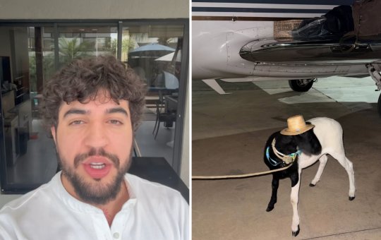 Presente inesperado de fã causa problemas para Nattan em vizinhança