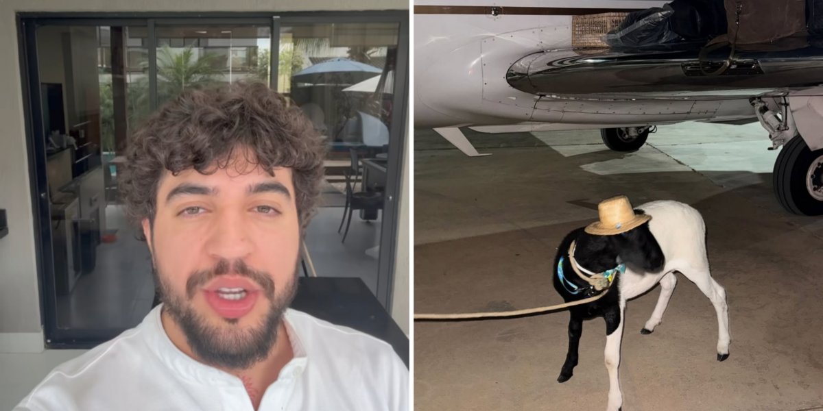 Nattan em vídeo nos stories / Carneiro que o artista ganhou