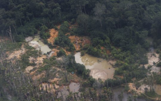 Dois indígenas da etnia Yanomami morrem em queda de helicóptero