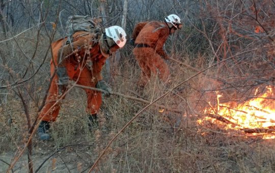 Jerônimo decreta programa Bahia sem Fogo para combater incêndios florestais no estado