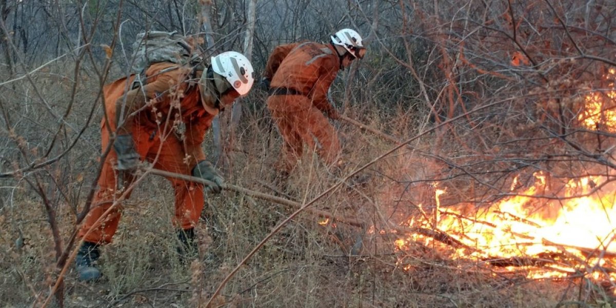 Incêndio florestal da Bahia