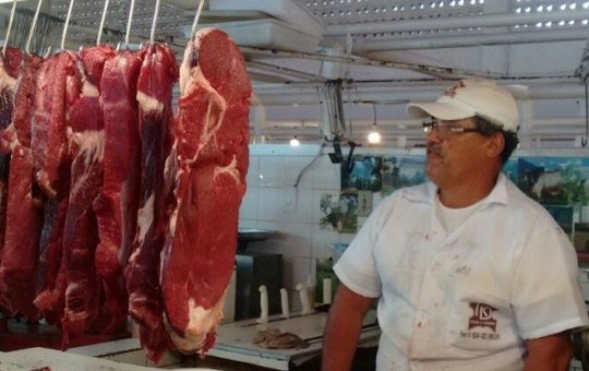 Venda de carne bovina do Brasil para os EUA despenca