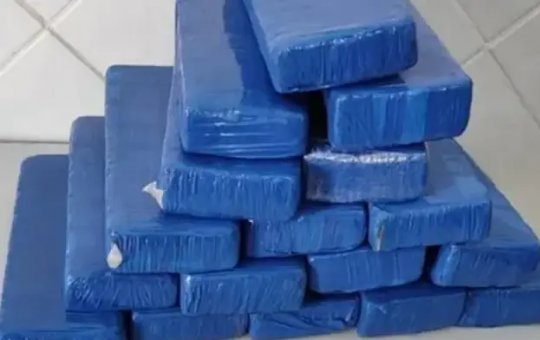 Polícia apreende 17 kg de maconha em ônibus interestadual na BA-026, em Urandi