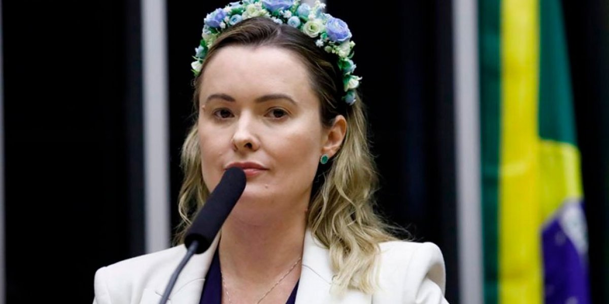 Deputada da oposição leva bebê à ocupação do plenário e é alvo de denúncia ao Conselho Tutelar