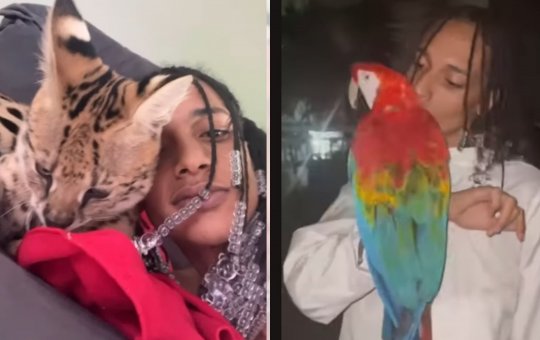 Oruam acumula multas de R$ 40,5 mil com o Ibama por ter animais silvestres sem autorização