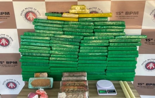 Drogas apreendidas pela polícia